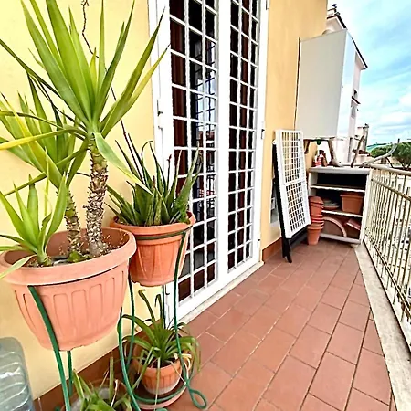 Domusinfabula Sanpietro Rome